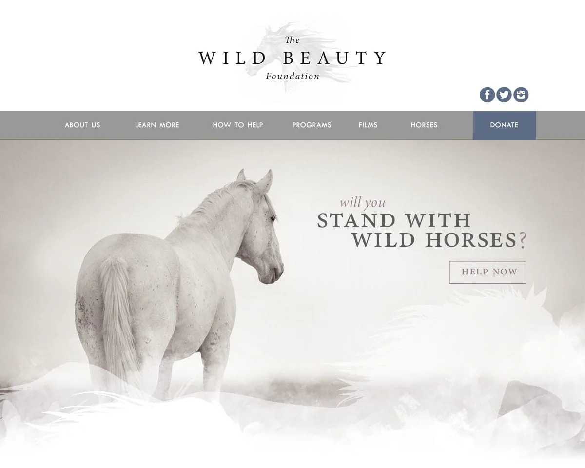 Wild Beauty Foundation website homepage