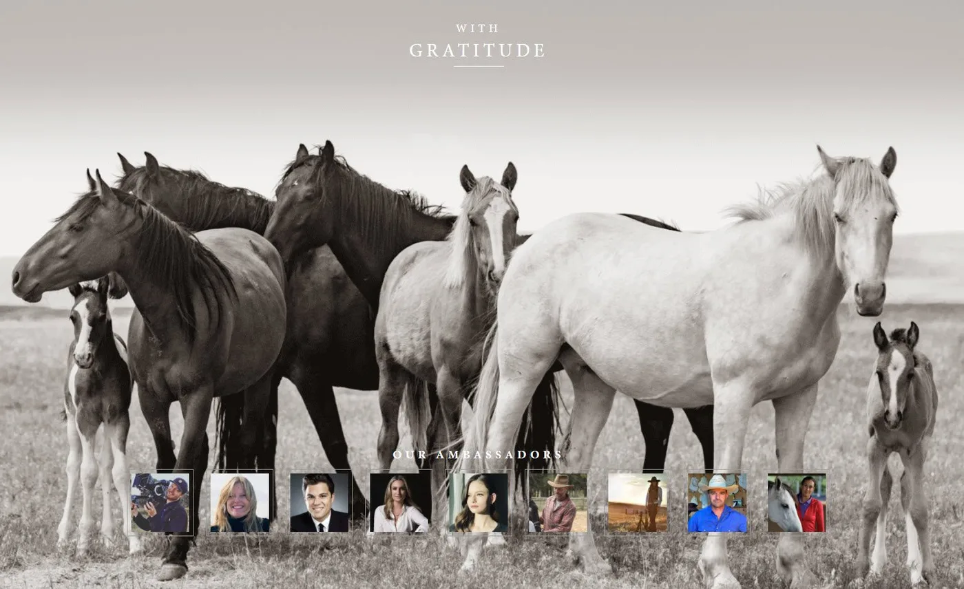 A wild horses feature page on the site