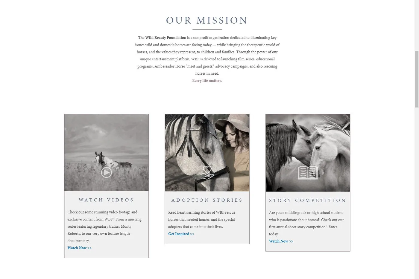 A content section of the Wild Beauty Foundation site